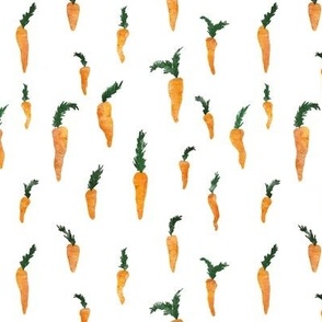 Small hand drawn watercolor carrots on white