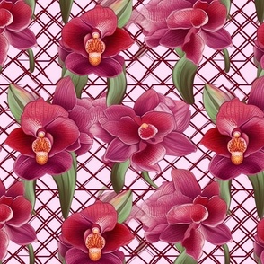 orchids in geometric bloom