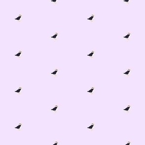 Puffins on light purple spaced out