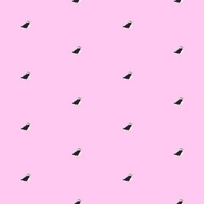Puffins on hot pink spaced out