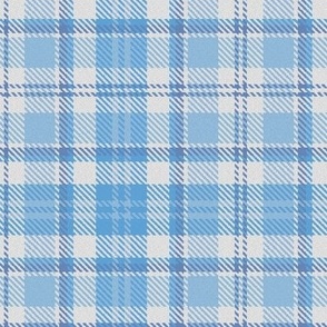 Baby Blues White Boxes Plaid