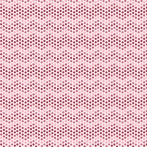 Wobbly Polka Dot Chevron//Pink//Medium