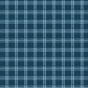 Plaid Rug -Blues - small Scale Fabric
