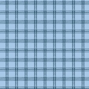 Plaid Rug -Blue-Small Scale Fabric
