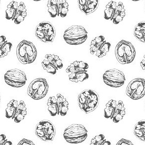Hand-drawn ink walnuts. Graphic realistic illustration of nuts. 