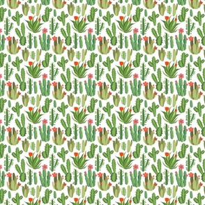 Pattern with cactus.