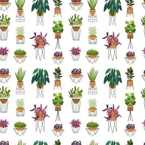 Pattern with houseplants in pots