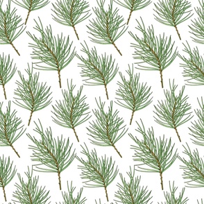 Pine Branch pattern in rustic sketch-style.