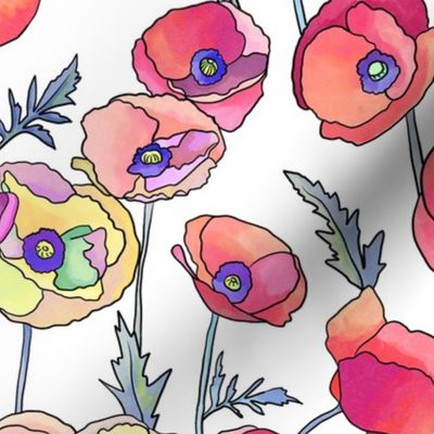 watercolor poppies 