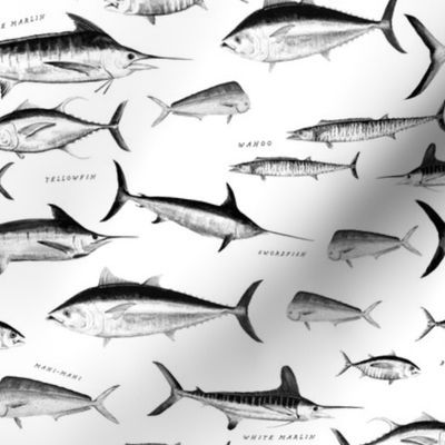 Tuna, Marlin, Wahoo, Swordfish, Mahi-Mahi Hand Illustrated Sport Fish Pattern; Desaturated, Ocean Chart