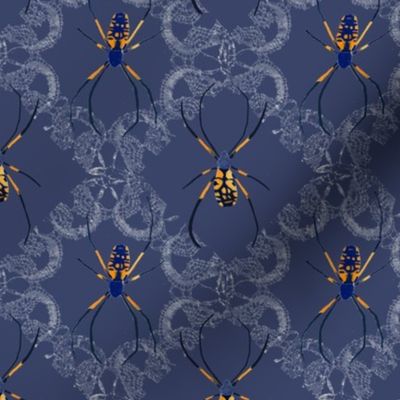 Golden Orb Weaver Spider with lace diamonds - blue gray, golden yellow, blue, nature, insects