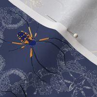 Golden Orb Weaver Spider with lace diamonds - blue gray, golden yellow, blue, nature, insects