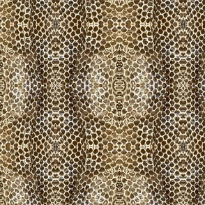 Discarded Snakeskin - natural colors 
