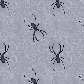Spider on lace - medium grey, black, white, nature, insects