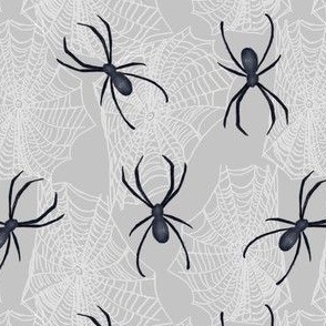 Spiders and Webs - gray, black, white, nature, insects