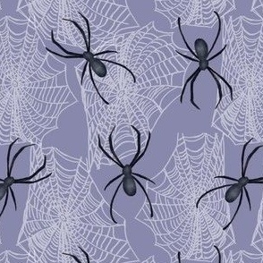 Black spiders and webs - soft purple gray, nature, wildlife, insects