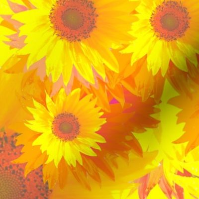 Sunflower Photography  | Yellow Background