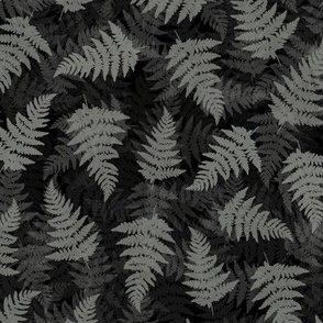 Black and grey fern leaves