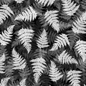 Black and white fern leaf print
