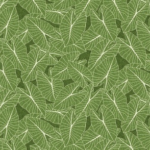 medium -Taro Leaf with texture-bright Olive