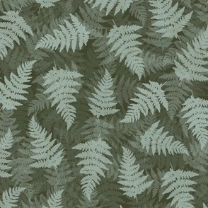 Moss green fern leaves