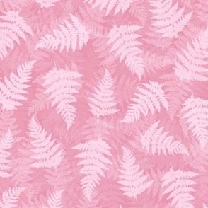 Pink fern leaves