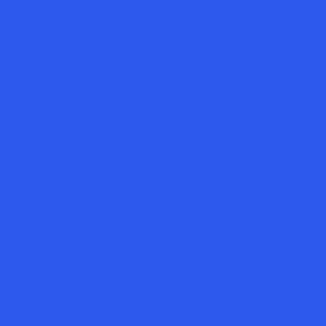 No.5 Solid Color for Abstract Orchid Flower Azure Blue