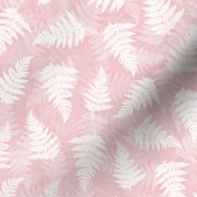 Pastel pink fern leaves