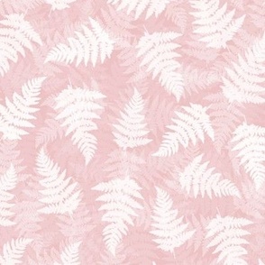 Pastel pink fern leaves