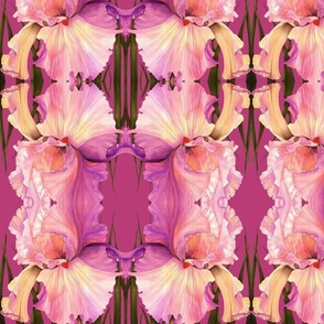 Pink Iris on Magenta Mirror Allover