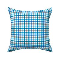 Gingham Blue