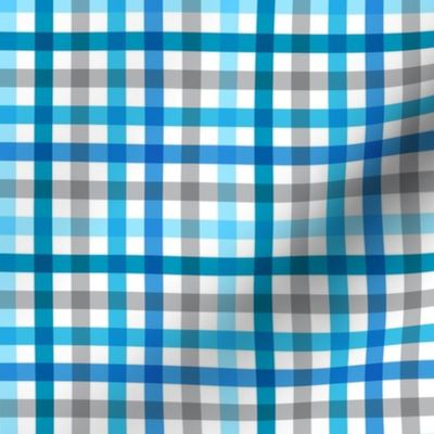 Gingham Blue