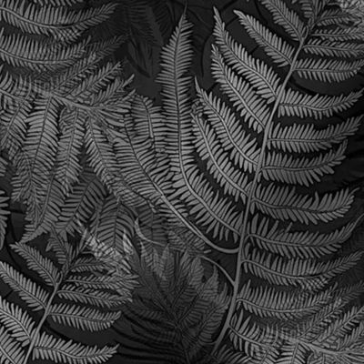 Silver ferns - monochromatics