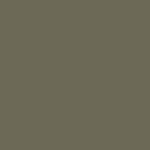 Army Green 2141-30 6b6956 Solid Color