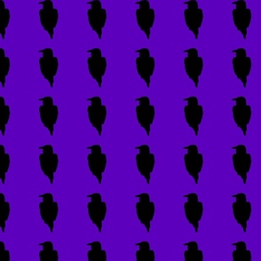 Raven silhouette purple