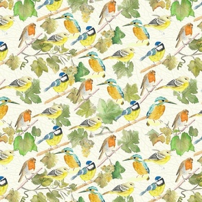 429. Watercolour birds on grape vines - Medium