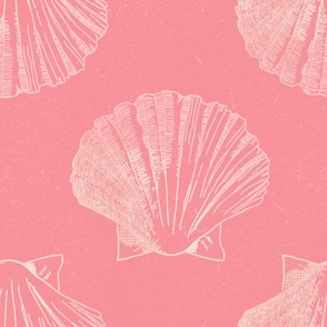 Detailed Pink Shells
