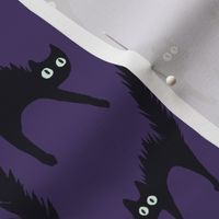 Cat Eyes Purple