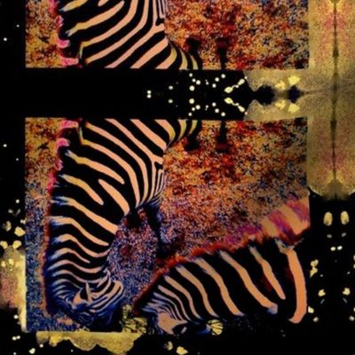 Zebras at Nightime