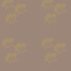 Sicilian Sun Flaming Star on Dark Taupe Medium