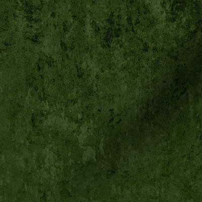 Stone Texture - Dark Khaki Green 