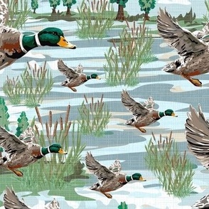 Flying Bird Mallard Duck, Lakeside Migration, Emerald Green Bird Feathers, Freshwater Bulrush Riverbed, SMALL SCALE