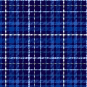 12" Plaid in shades of blue, navy and white