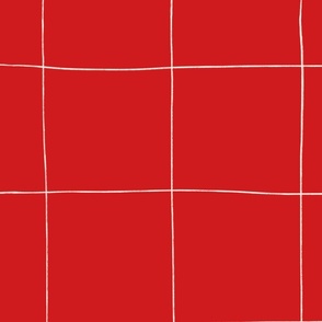 Hand-drawn Large Grid  Wallpaper in Red