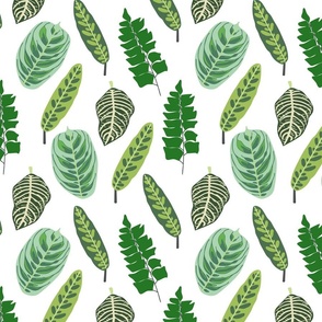 Leafy Green - Medium - great for home decor!