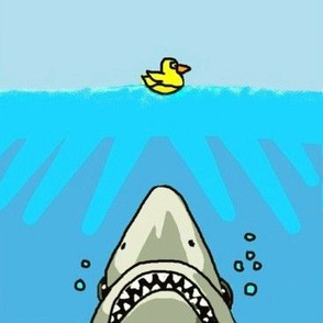 shark versus duck