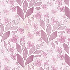 Pink Hydrangea - White Background - Medium