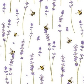 lavender and bees 