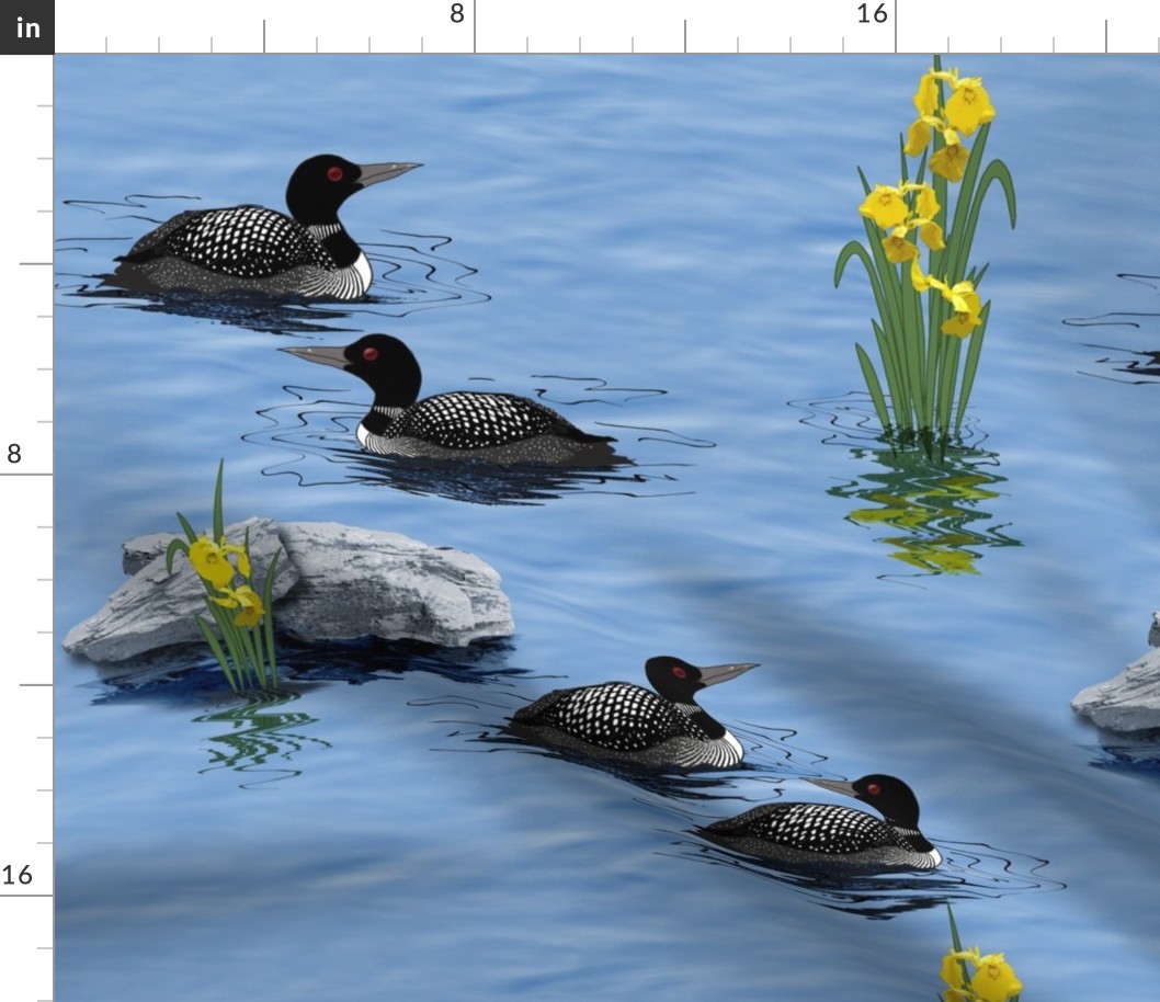 Large Scale Loons and Yellow Water Iris on the Lake
