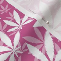 Bigger Scale Marijuana Cannabis Leaves White on Peony Pink